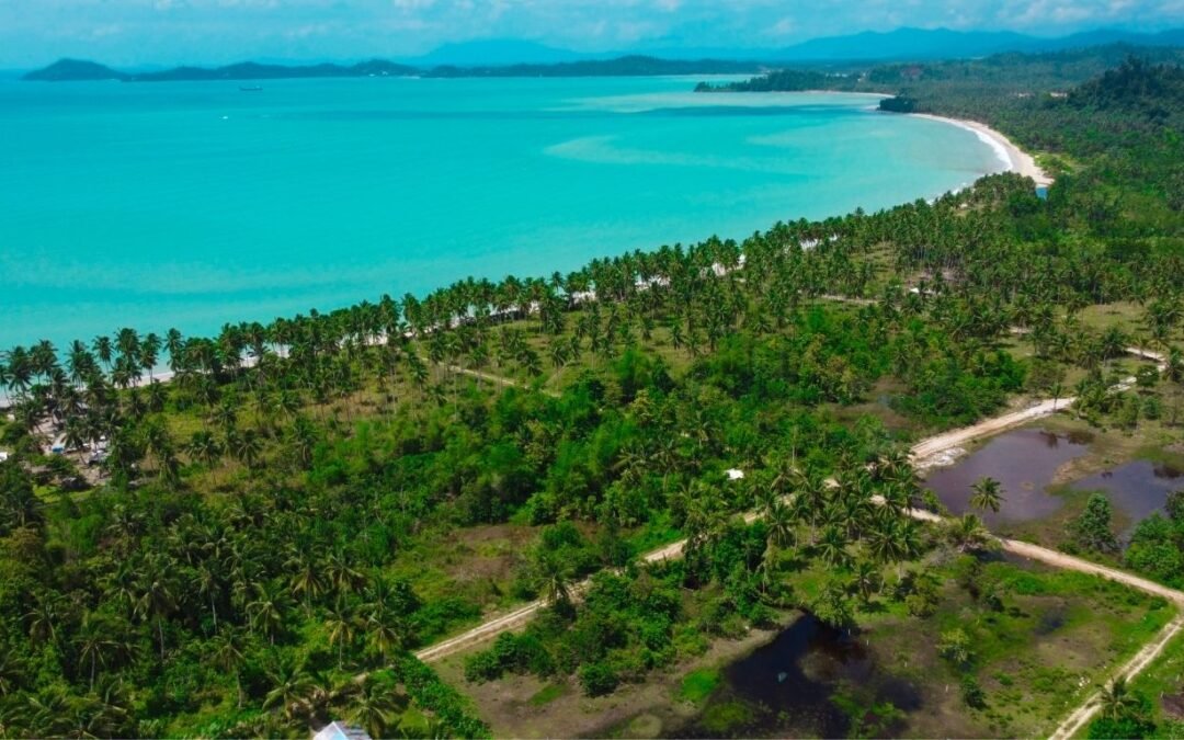 Discover the Unparalleled Charm of San Vicente, Palawan: A Premier Second Lot for Sale